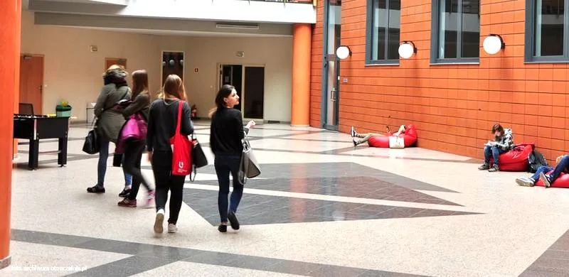 Amerykanistyka po studiach: Otwórz drzwi do kariery zawodowej