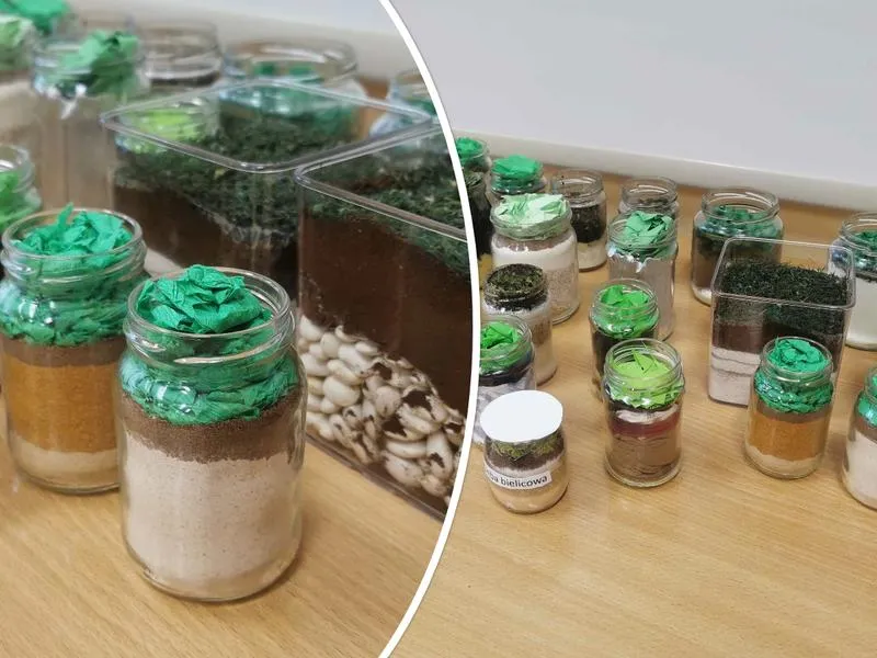 Intrygujące pomysły na ciekawe zajęcia z geografii, które zaangażują uczniów i ożywią lekcje