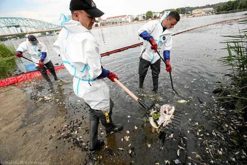 Zaskakujące różnice w pensjach strażaków po studiach – ile tak naprawdę zarabiają?