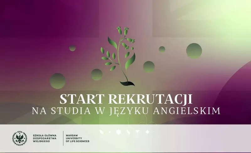 Zrozumieć zajęcia na studiach po angielsku: praktyczne wskazówki dla studentów