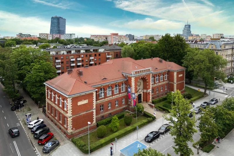 Jak wybrać kierunek studiów