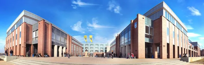 Kierunki studiów