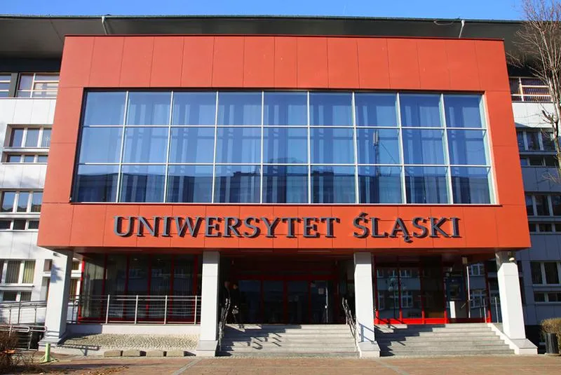 Kierunki studiów