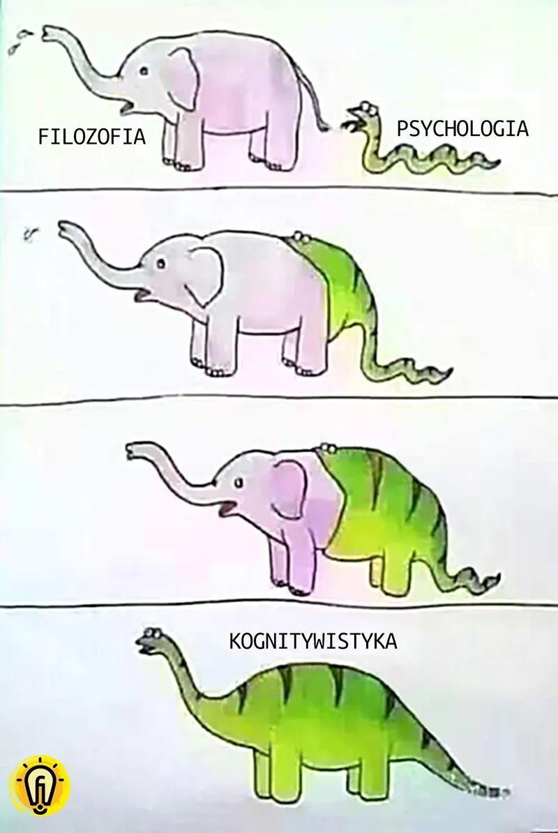 Kognitywistyka ścieżki zawodowe