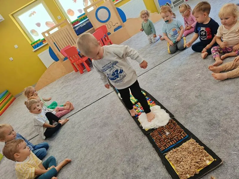 Kwalifikacje terapeutów integracji sensorycznej