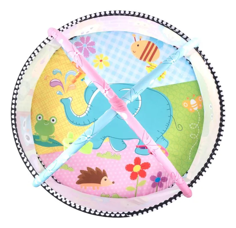 Mata edukacyjna Lionelo Carla