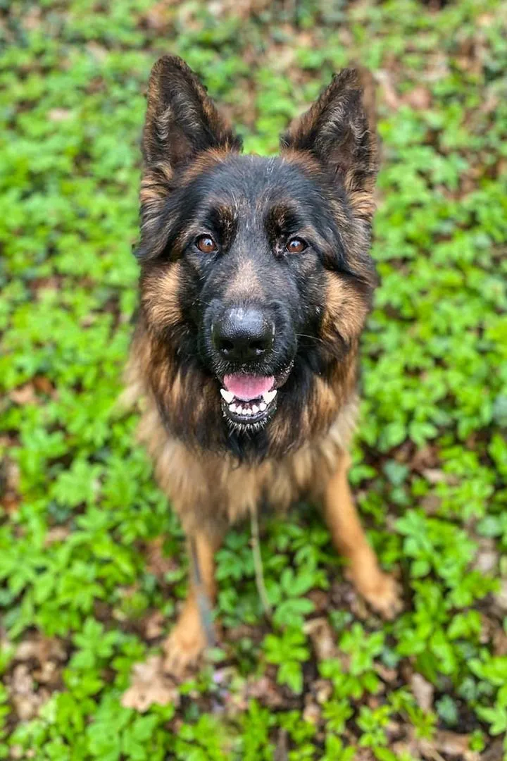 Motywacja i cele w nauce języków