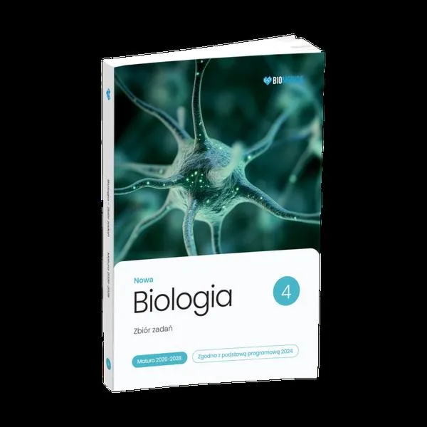 Plan nauki do matury