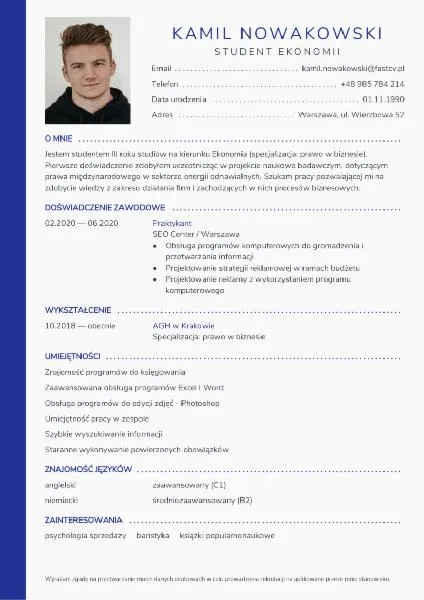 Podsumowanie zawodowe