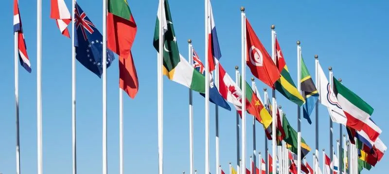 Praca w organizacjach międzynarodowych