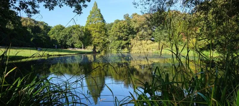Specjalizacje i studia podyplomowe z geografii