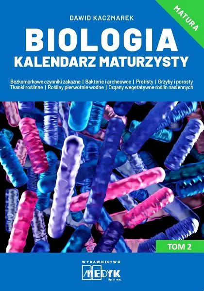 Strategie nauki do matury