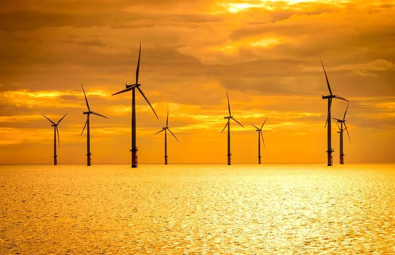 Umiejętności miękkie po studiach