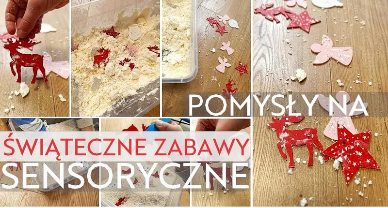 Wymagania dla prowadzących zajęcia z integracji sensorycznej